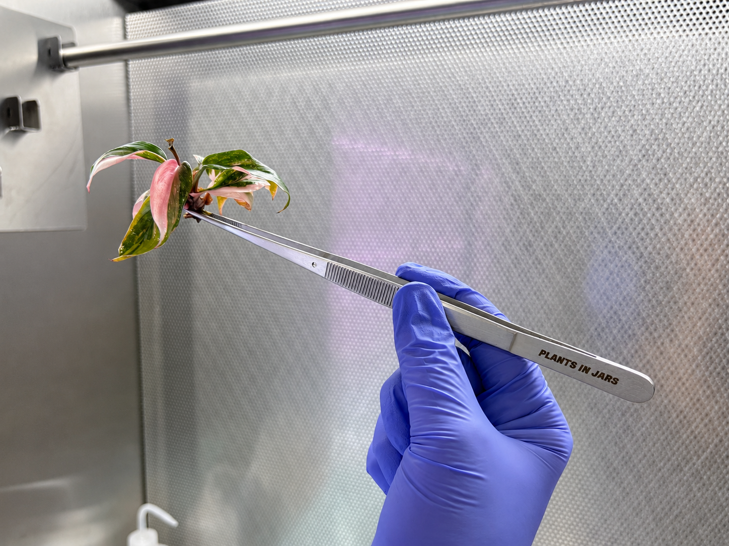 Tissue Culture Tools