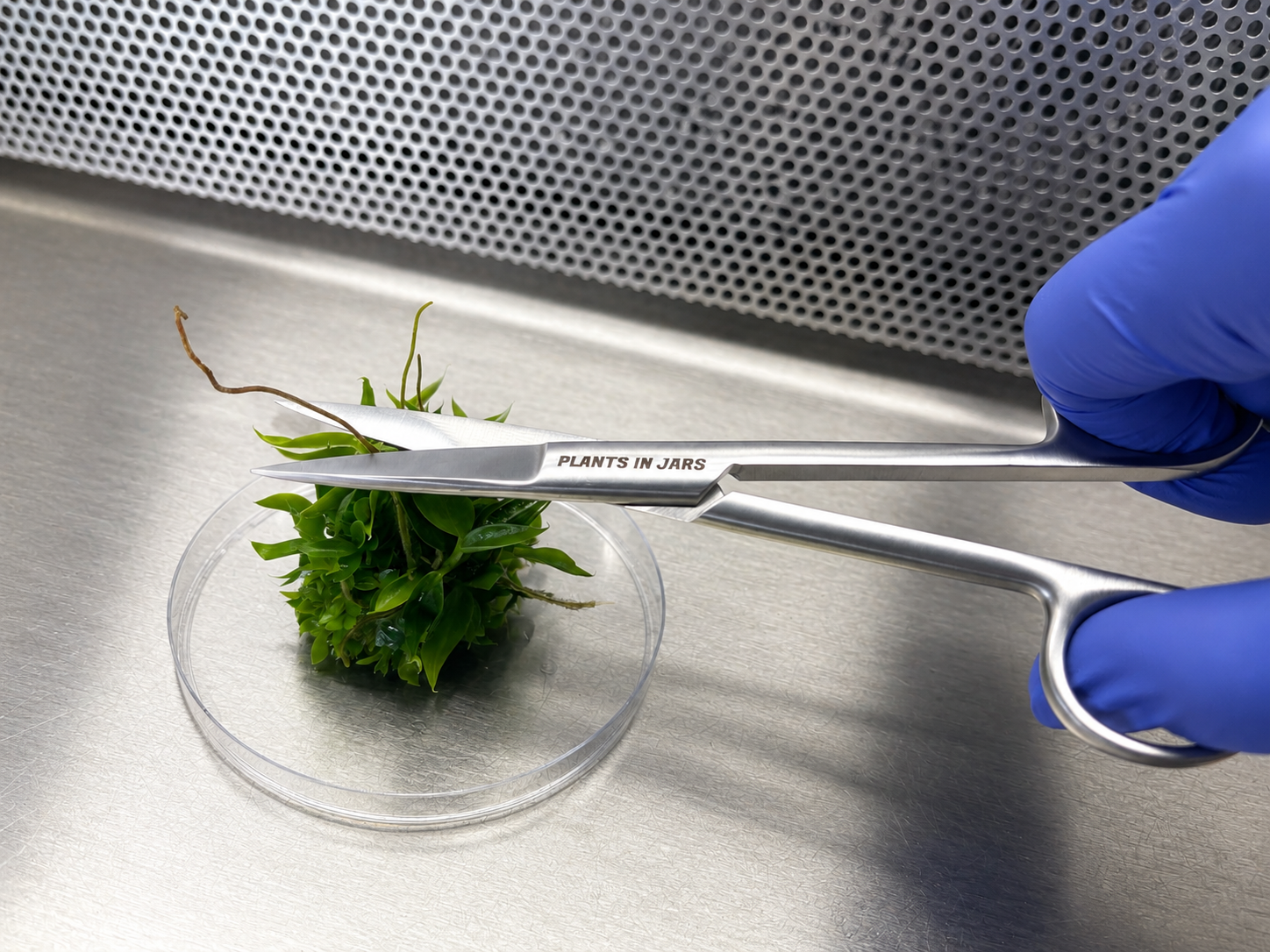 Tissue Culture Tools