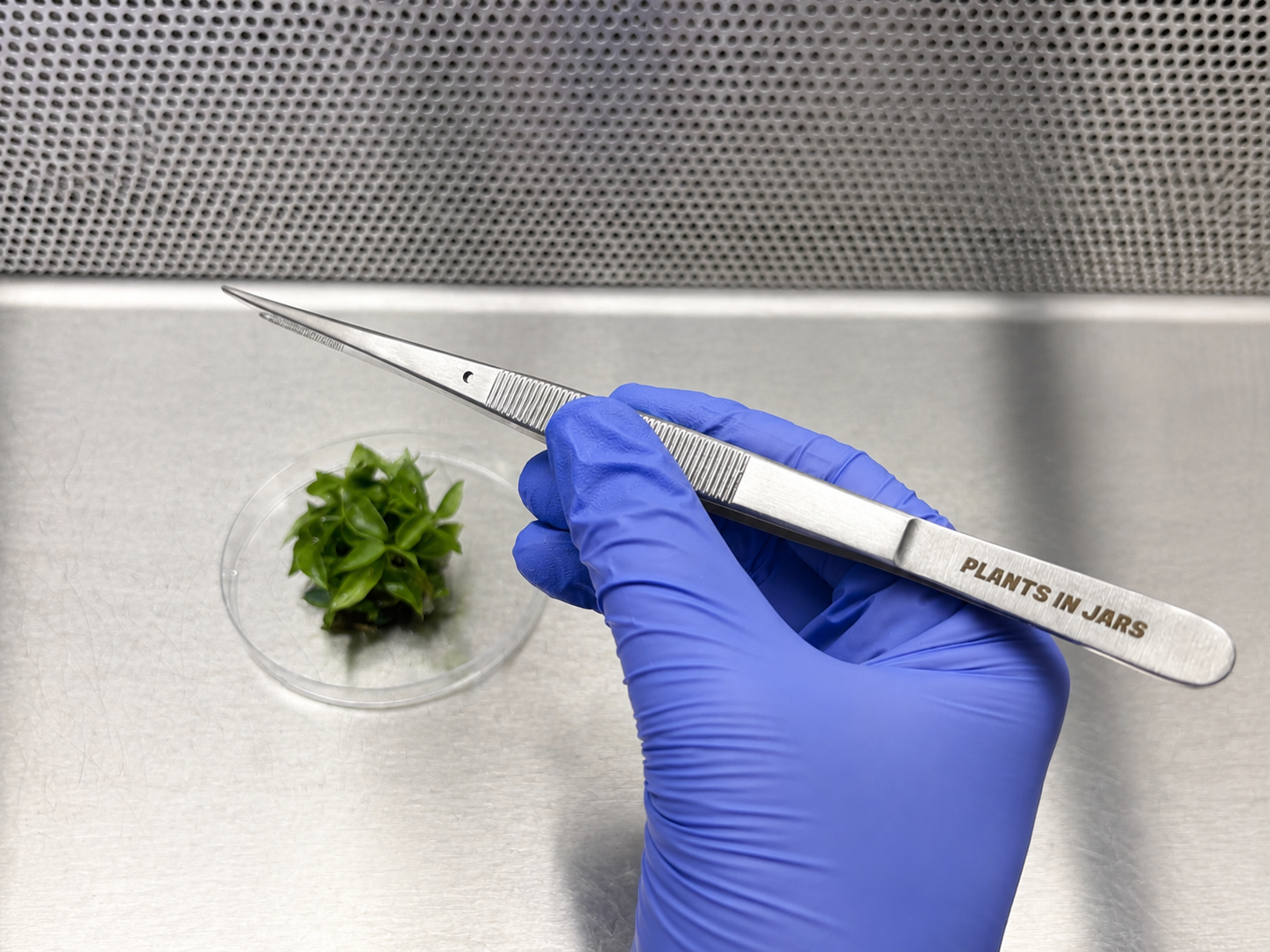 Tissue Culture Tools